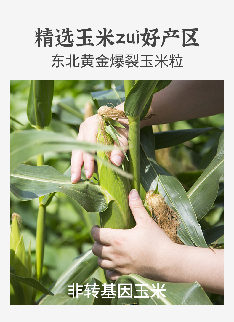 追剧神器 原味820g(图2) 追剧神器 原味820g(图2)